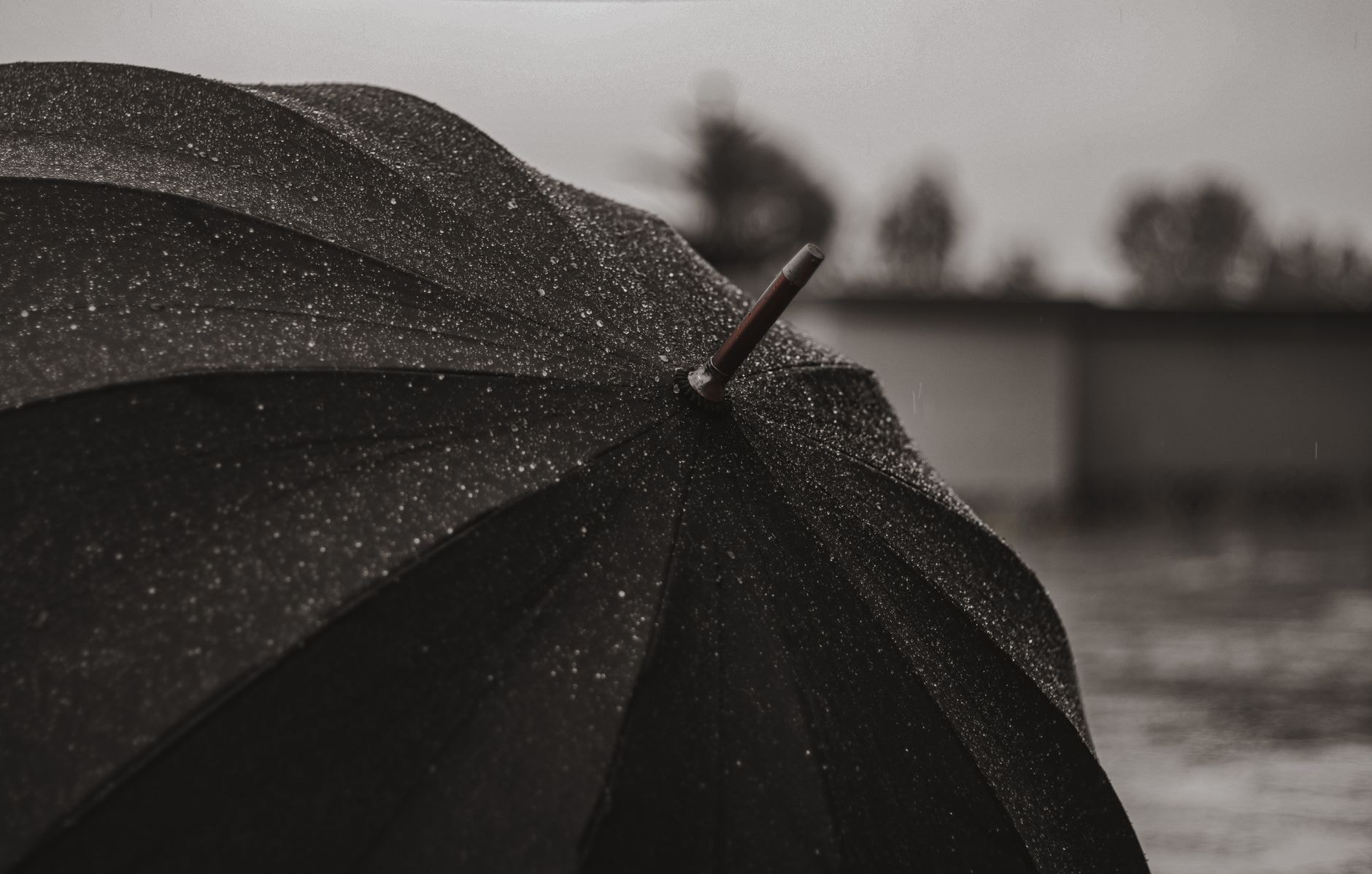 Parapluie ouvert symbolisant la protection face aux imprévus